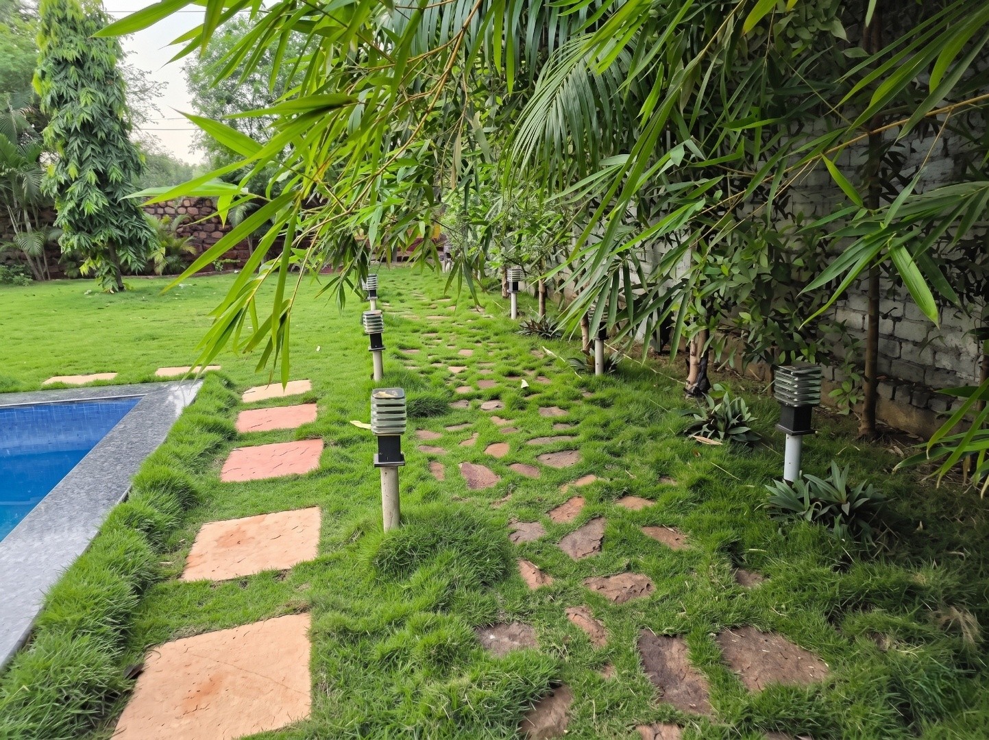 Gallery 6